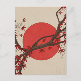 Cartão Postal Árvore de bordo japonês