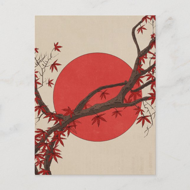 Cartão Postal Árvore de bordo japonês (Frente)