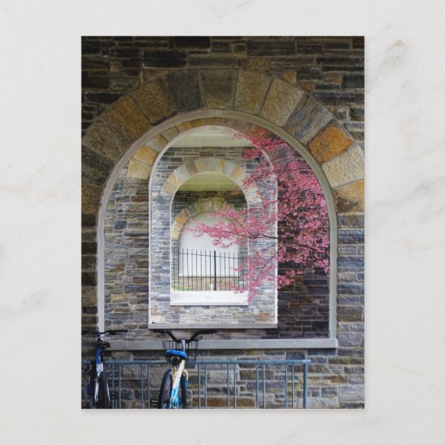 Cartão Postal Árvore De Cereja Através Dos Arcos (Frente)