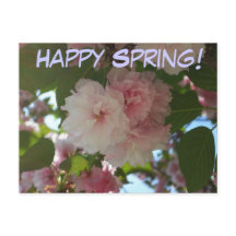 Árvore de cereja I Primavera Floral com duas flore