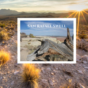 Cartão Postal Árvore de Fallen, San Rafael Swell, Utah