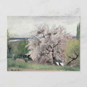Cartão Postal Árvore de fruta em Blossom, Bois-le-Roi