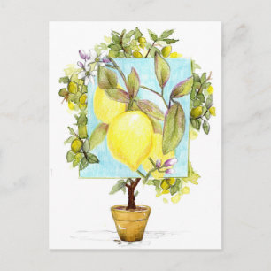 Cartão Postal Árvore de Limão Meyer Fruta Cítrica Jardim