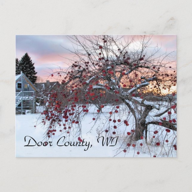 Cartão Postal Árvore de Maçã (Frente)