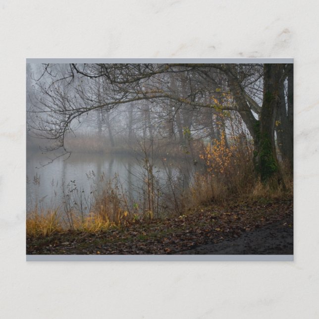 Cartão Postal Árvore de Novembro CC0310 (Frente)