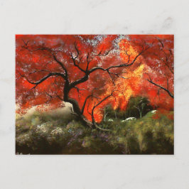 Cartão Postal Árvore de Picnic