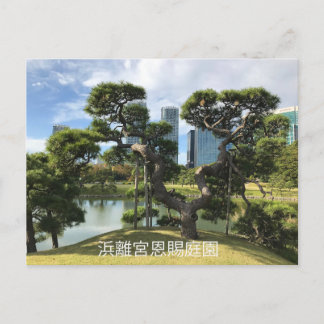 Cartão Postal Árvore de pinos pretos exclusiva