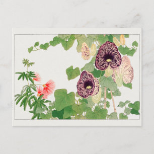 Cartão Postal Árvore de pó, flor de Calico por Tanigami Konan