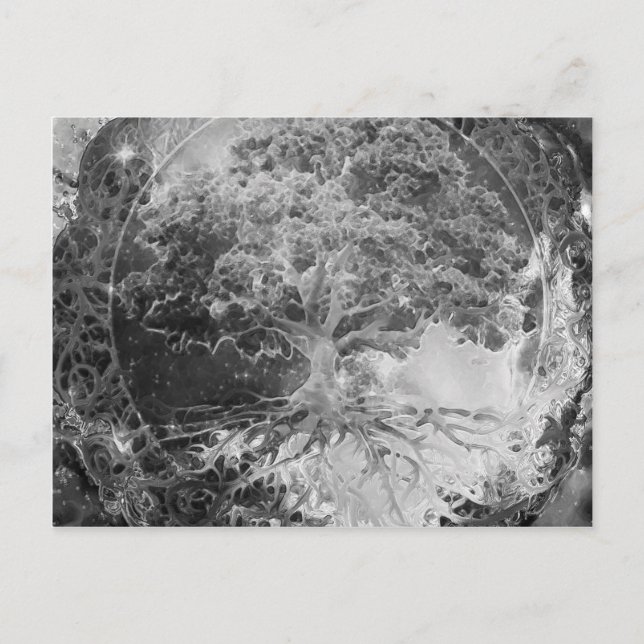Cartão Postal Árvore de Saúde em Preto e Branco (Frente)