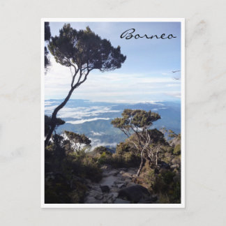 Cartão Postal árvore de visualização do quinabalu