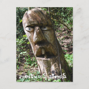 Cartão Postal Árvore dentária Figura no Cartão-postal do Turvo d