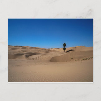 Cartão Postal Árvore do Deserto