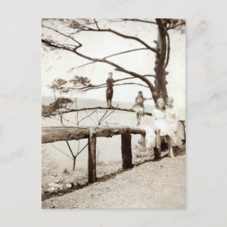 Cartão Postal Árvore Do Passado