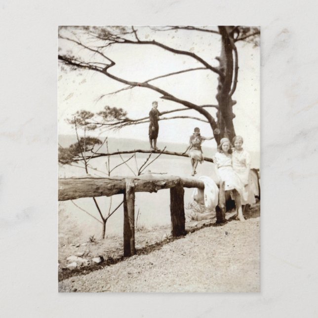 Cartão Postal Árvore Do Passado (Frente)