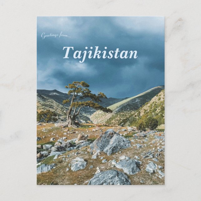 Cartão Postal Árvore em Montanhas Fann no Tajiquistão (Frente)