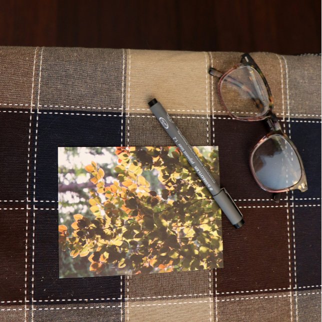 Cartão Postal Árvore Faia Europeia (Criador carregado)