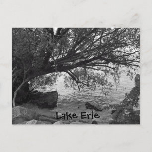 Cartão Postal Árvore falena sobre o lago Erie