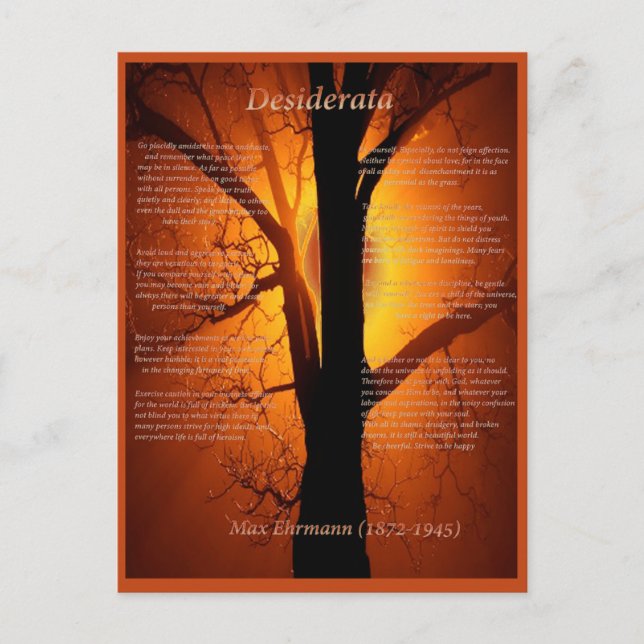 Cartão Postal Árvore laranja (Frente)