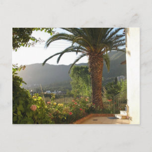 Cartão Postal Árvore Palm Ao Sunset Na Ilha De Corfu