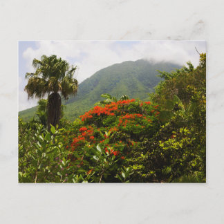 Cartão Postal Árvore Palm, Árvore Flamboyant, Pico de Vulcão Car