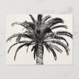 Cartão Postal Árvore Palm da Ilha Tropical de Preto e Branco