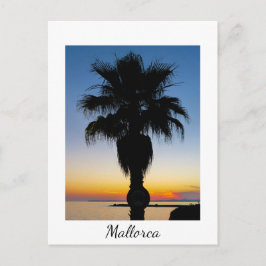 Cartão Postal Árvore Palm de Maiorca ao Sol