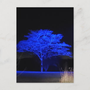 Cartão Postal Árvore pintada azul