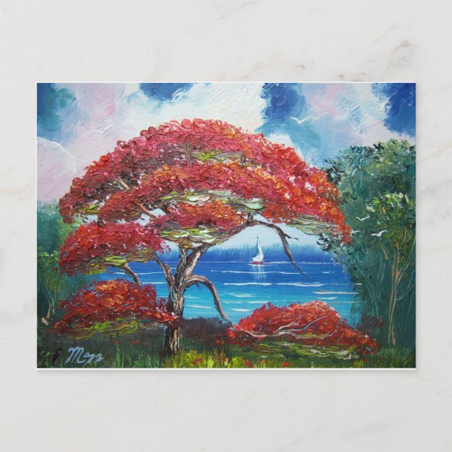 Cartão Postal Árvore Real Poinciana Blooming e veleiro (Frente)