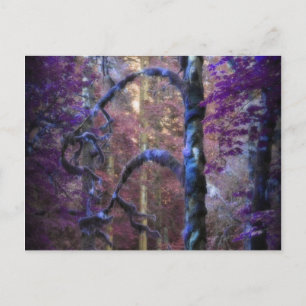 Cartão Postal Árvore Sagrada