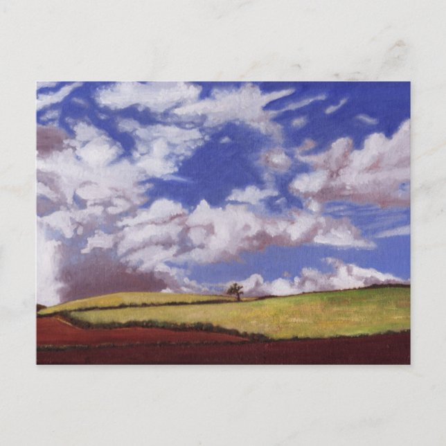 Cartão Postal Árvore solitária 2012 (Frente)