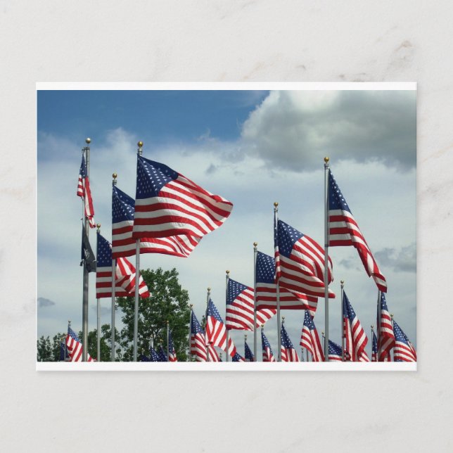 Cartão Postal arvore sua bandeira (Frente)