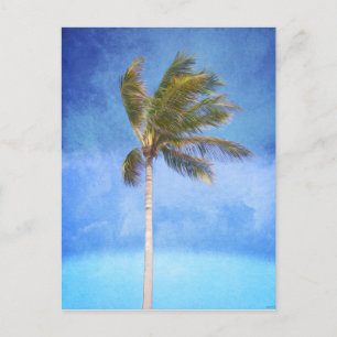 Cartão Postal Árvore Tropical de Palm