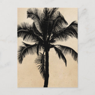 Cartão Postal Árvore Tropical de Palmeira do Havaí - Preto-Sil