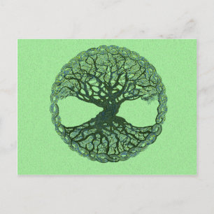 Cartão Postal Árvore Verde Sortuda da Vida