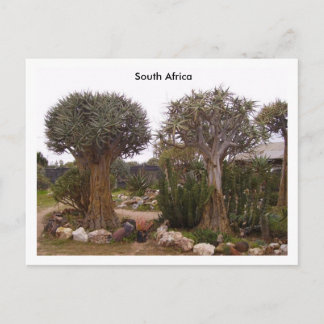 Cartão Postal Árvores