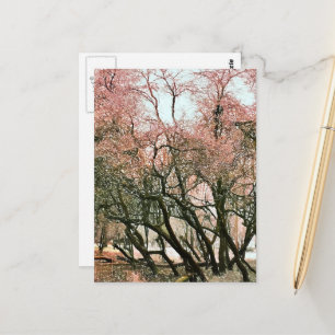 CARTÃO POSTAL ÁRVORES