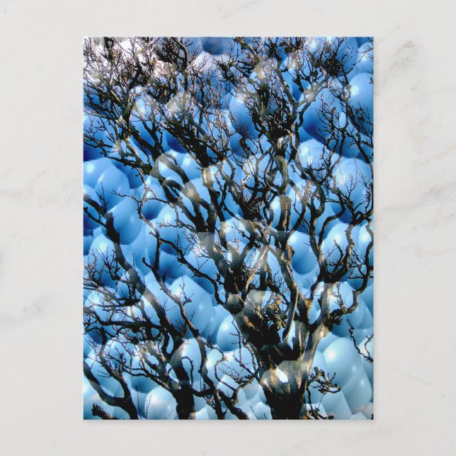 CARTÃO POSTAL ÁRVORES (Frente)