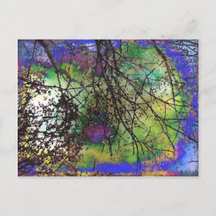 Cartão Postal Árvores