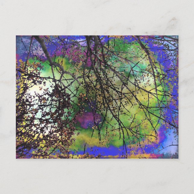 Cartão Postal Árvores (Frente)