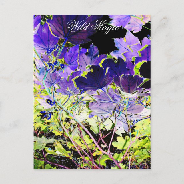 CARTÃO POSTAL ÁRVORES (Frente)