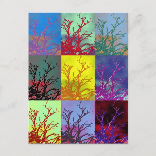 CARTÃO POSTAL ÁRVORES (Frente)