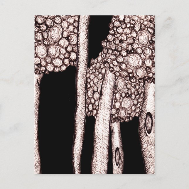 Cartão Postal Árvores (Frente)