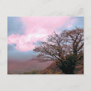 CARTÃO POSTAL ÁRVORES