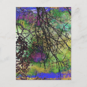 Cartão Postal Árvores