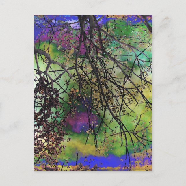 Cartão Postal Árvores (Frente)