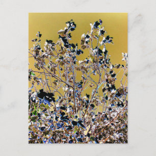 CARTÃO POSTAL ÁRVORES