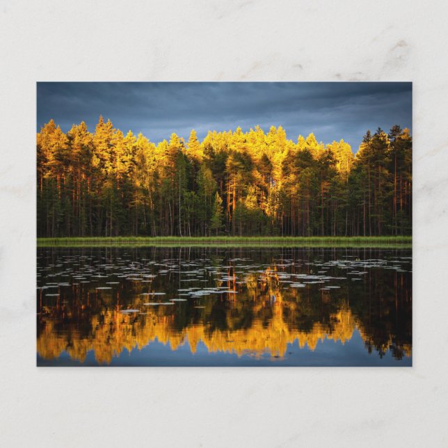 Cartão Postal Árvores amarelas por um lago (Frente)