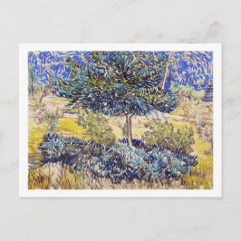 Cartão Postal Árvores arbustos Jardim de Asilo Vincent Van Gogh