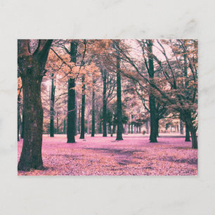 Cartão Postal Árvores coloridas no Parque Yoyogi, em Tóquio.