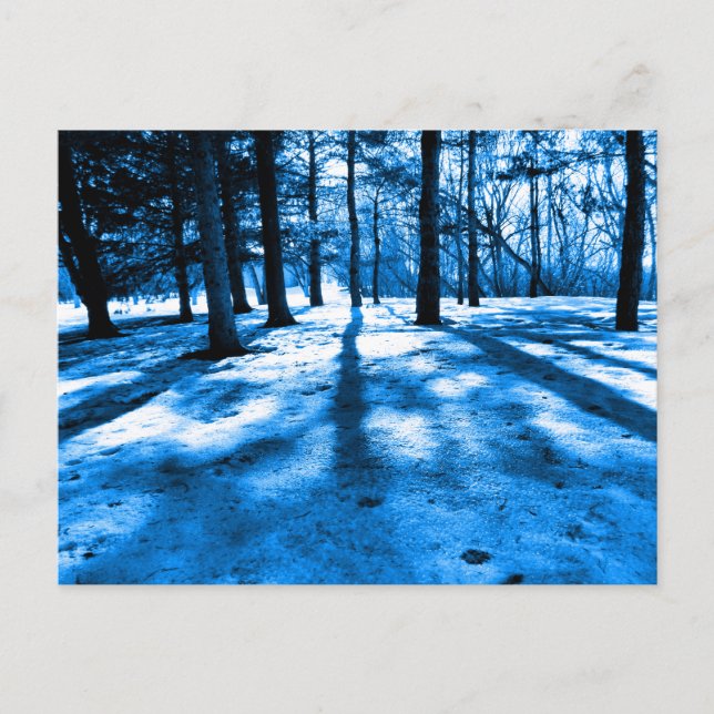 Cartão Postal Árvores da Floresta Azul Sombras e Luz (Frente)